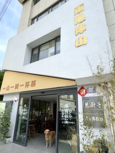 素隐伴山餐饮连锁 project image